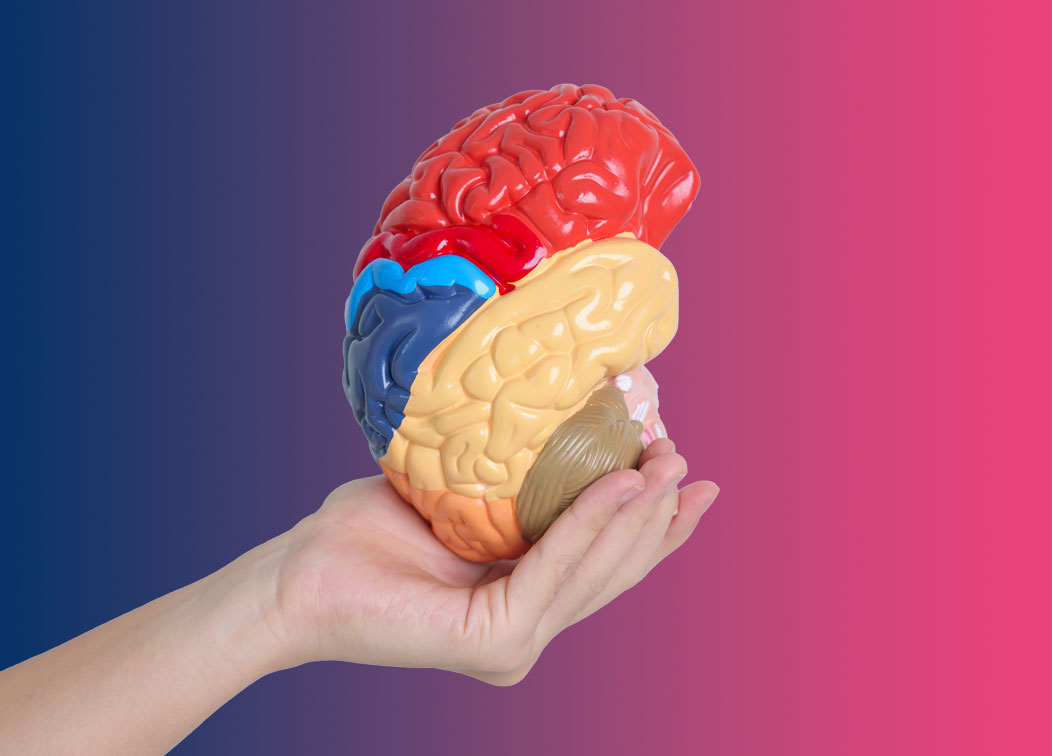 neuromarketing ¿Qué es el Neuromarketing? Claves para Neuromarketing